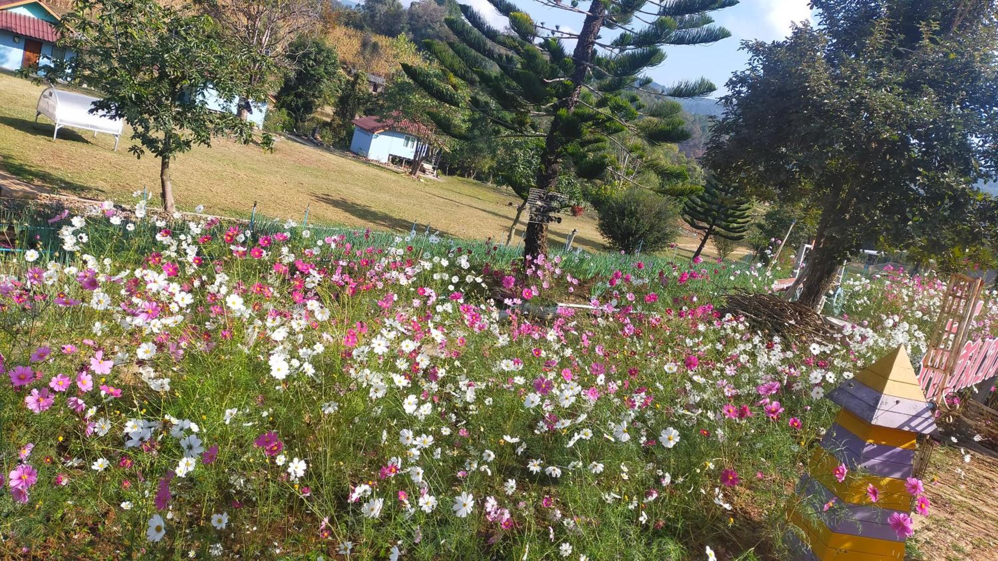 Mong Homestay Resort Pang Ung Zewnętrze zdjęcie