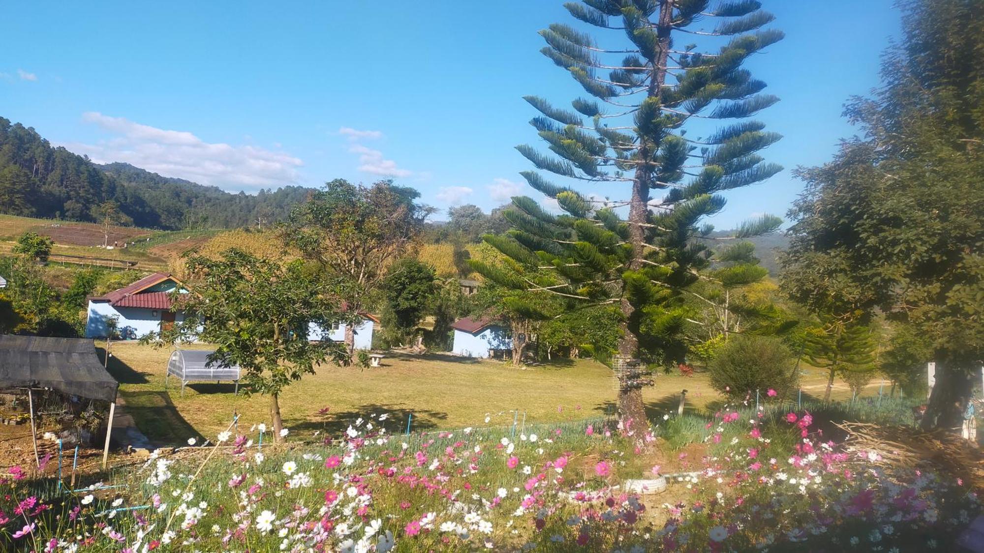 Mong Homestay Resort Pang Ung Zewnętrze zdjęcie