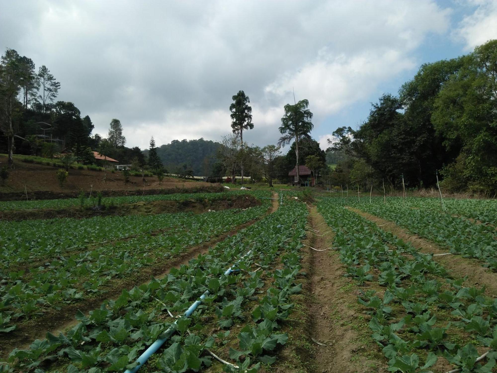 Mong Homestay Resort Pang Ung Zewnętrze zdjęcie