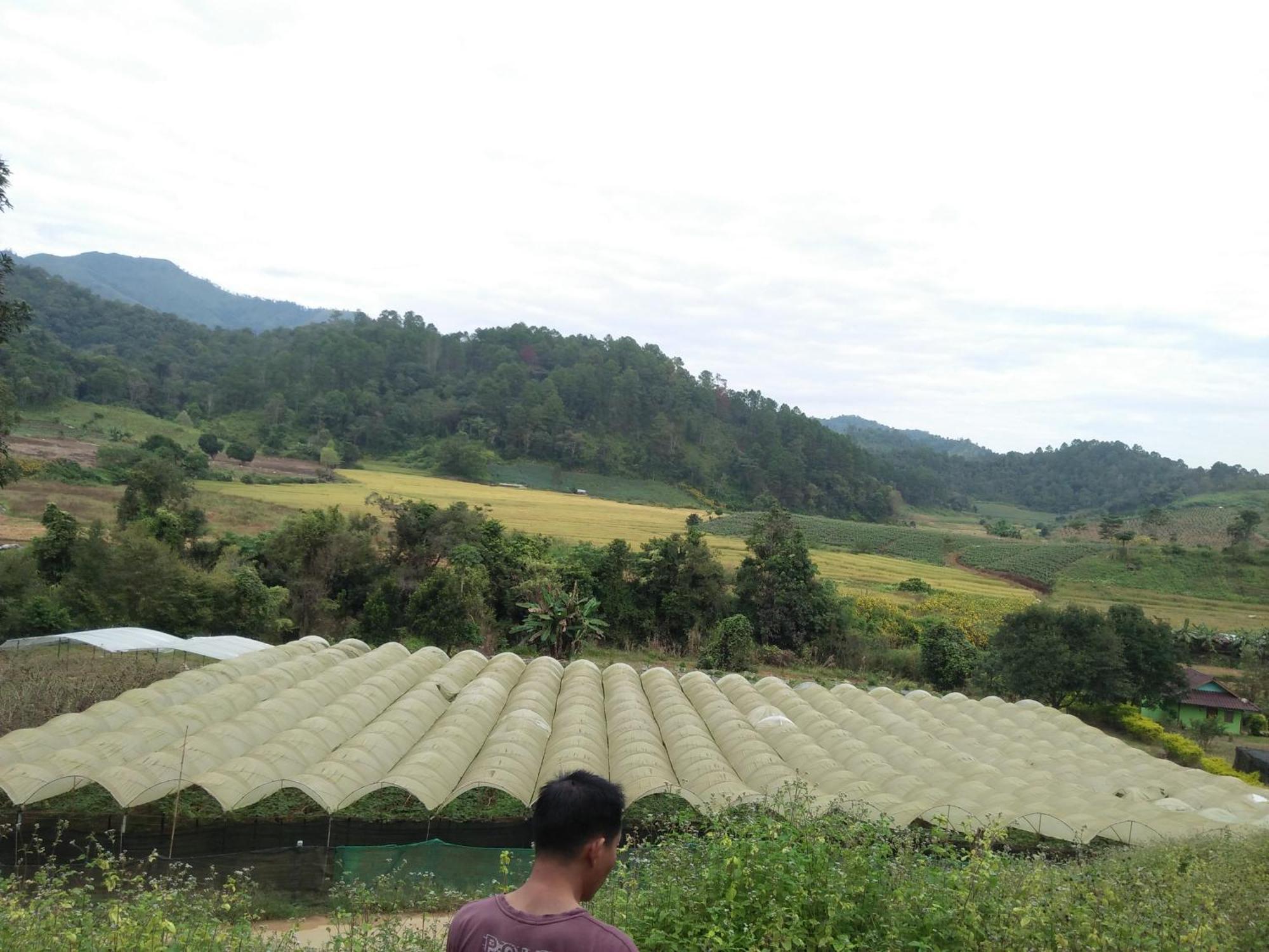 Mong Homestay Resort Pang Ung Zewnętrze zdjęcie