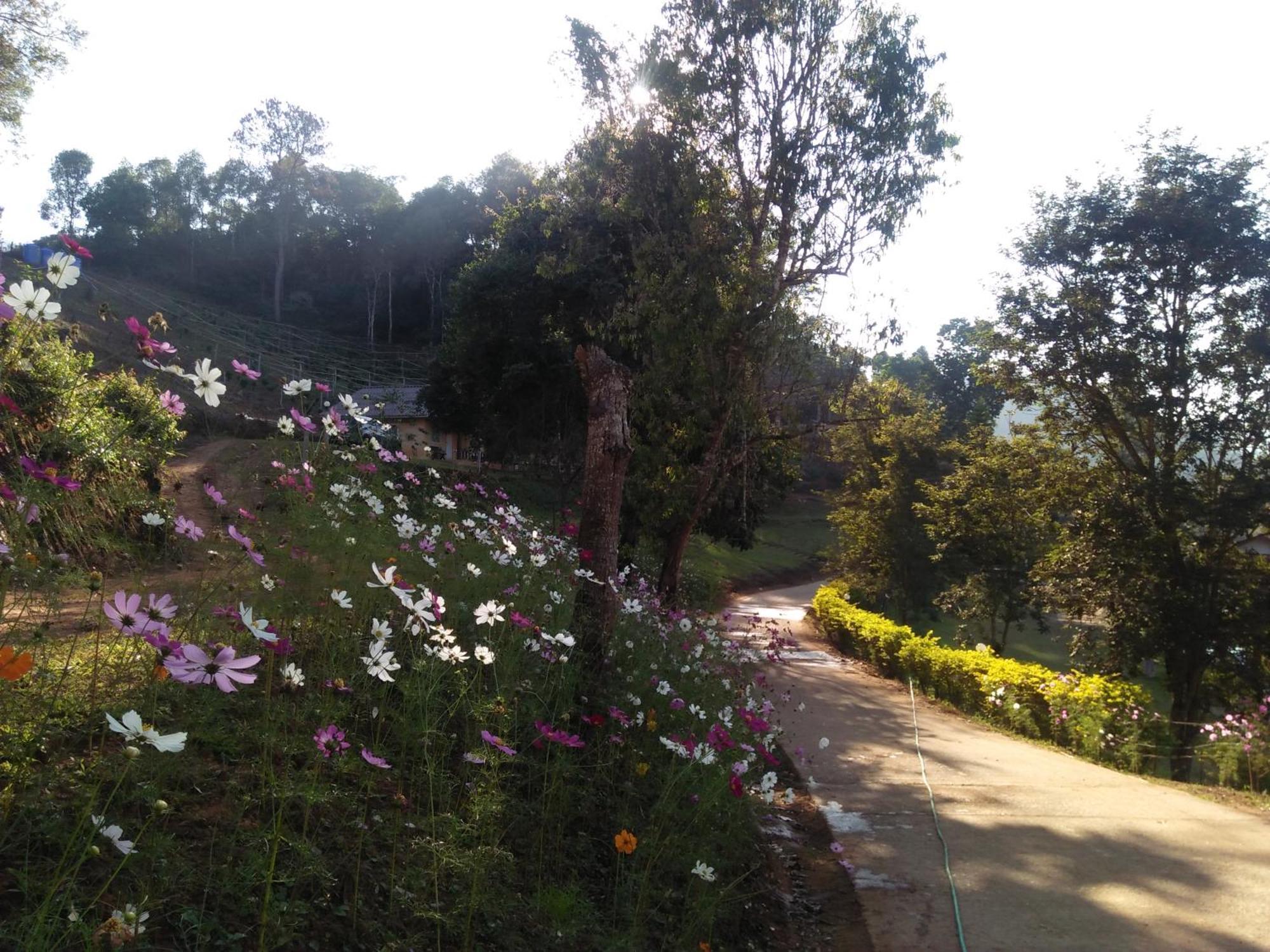 Mong Homestay Resort Pang Ung Zewnętrze zdjęcie